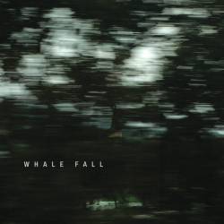 Whale Fall : Whale Fall